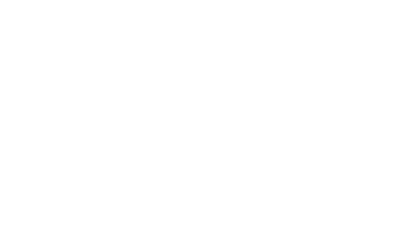 logo Niazi Goods Transport Company